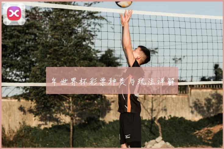 年世界杯彩票种类与玩法详解